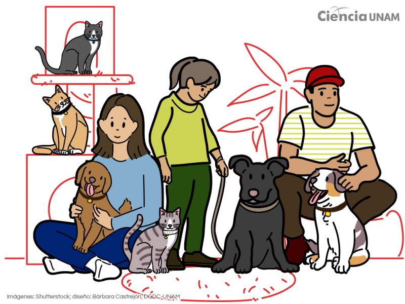 PROTECCION DE ANIMALES DE COMPAÑIA
